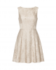 Adrianna Papell Sleeveless Floral Jacquard Drop Waist Short Dress