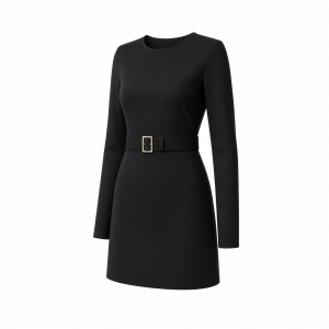 DKNY Women's Long Sleeve Jewel Neck Mini D Buckle Scuba Crepe Dress