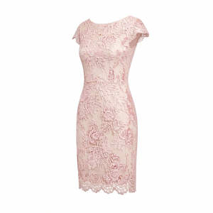 Alex Evenings Women's Short Embroidered Cocktail Dress, Wedding Guest (Petite and Regular Sizes)