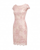 Alex Evenings Women's Short Embroidered Cocktail Dress, Wedding Guest (Petite and Regular Sizes)
