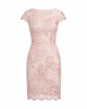 Alex Evenings Women's Short Embroidered Cocktail Dress, Wedding Guest (Petite and Regular Sizes)