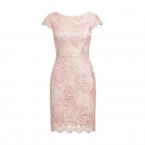 Alex Evenings Women's Short Embroidered Cocktail Dress, Wedding Guest (Petite and Regular Sizes)