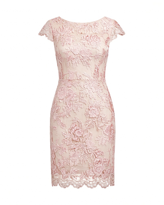 Alex Evenings Women's Short Embroidered Cocktail Dress, Wedding Guest (Petite and Regular Sizes)