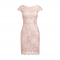 Alex Evenings Women's Short Embroidered Cocktail Dress, Wedding Guest (Petite and Regular Sizes)
