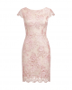 Alex Evenings Women's Short Embroidered Cocktail Dress, Wedding Guest (Petite and Regular Sizes)